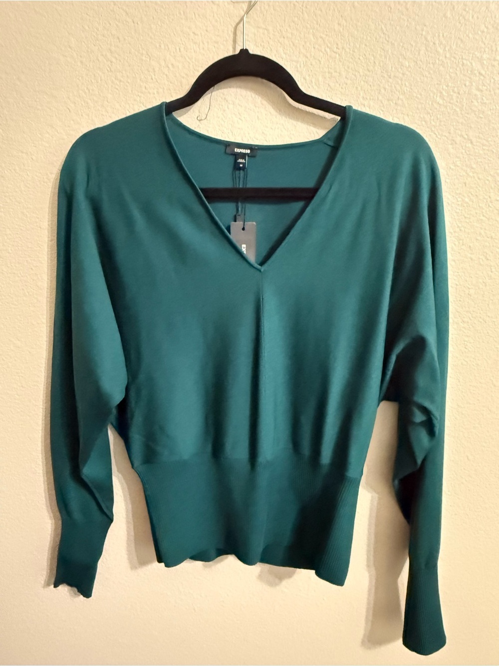 Express Teal V-Neck Women's Sweater